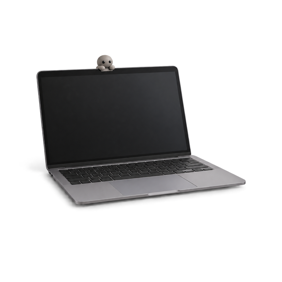MacBook Perch